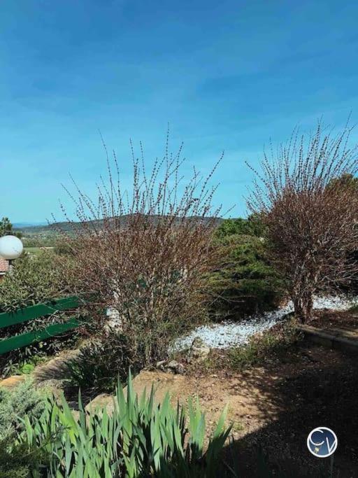 St-Germain - Les Terrasses De L'Ardeche - Piscine Διαμέρισμα Salavas Εξωτερικό φωτογραφία